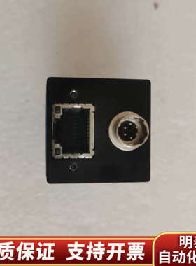 ImagingSource DMK 33GP031 工.询价