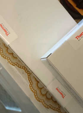 赛默飞离子色谱柱+保护柱CS12A 货号: 046073，C.询价