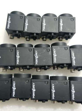 Piont grey 灰点 BFLY-PGE-12A2M-C.询价