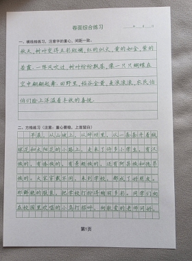楷书快写卷面综合练习横线格作文格综合练习硬笔18页