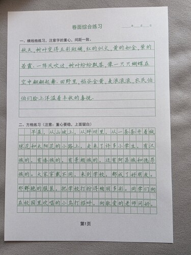 楷书快写卷面综合练习横线格作文格综合练习硬笔18页