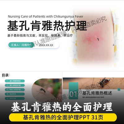 基孔肯雅热的全面护理PPT  最新基孔肯雅热的全面护理