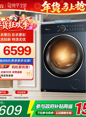 小天鹅纯平全嵌10KG全自动洗衣机洗烘一体蓝氧护色洗TD100MS97ILZ