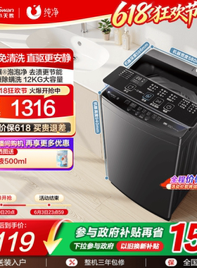 小天鹅除螨波轮家用租房12KG大容量全自动洗脱变频洗衣机1809DT