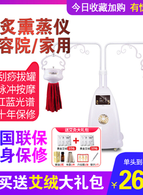 艾灸家庭式理疗美容院专用熏蒸仪