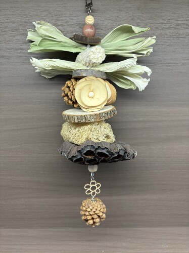 【我的可爱鹦鹉】鹦鹉啃咬玩具咬串磨牙解闷松果坚鸟笼装饰挂件