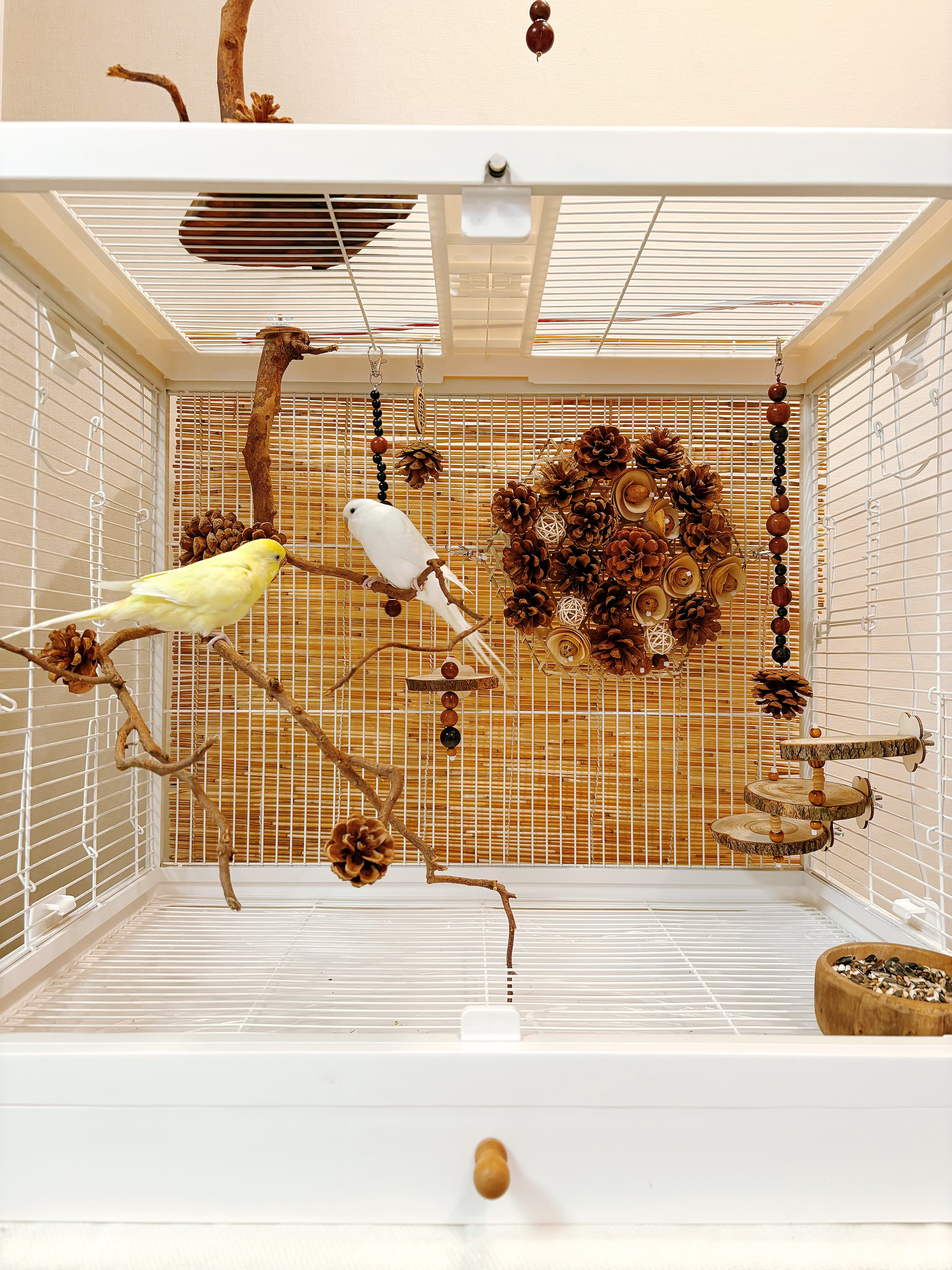 【我的可爱鹦鹉】鹦鹉玩具鸟笼站杆挂件新原木啃咬装饰站台8件套,宠物/宠物食品及用品,鸟玩具,淘宝优惠券,粉丝福利购,淘宝优惠卷