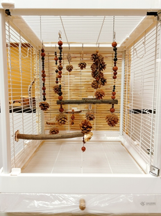 【我的可爱鹦鹉】鹦鹉玩具鸟笼装饰挂件新中式美学风10件套