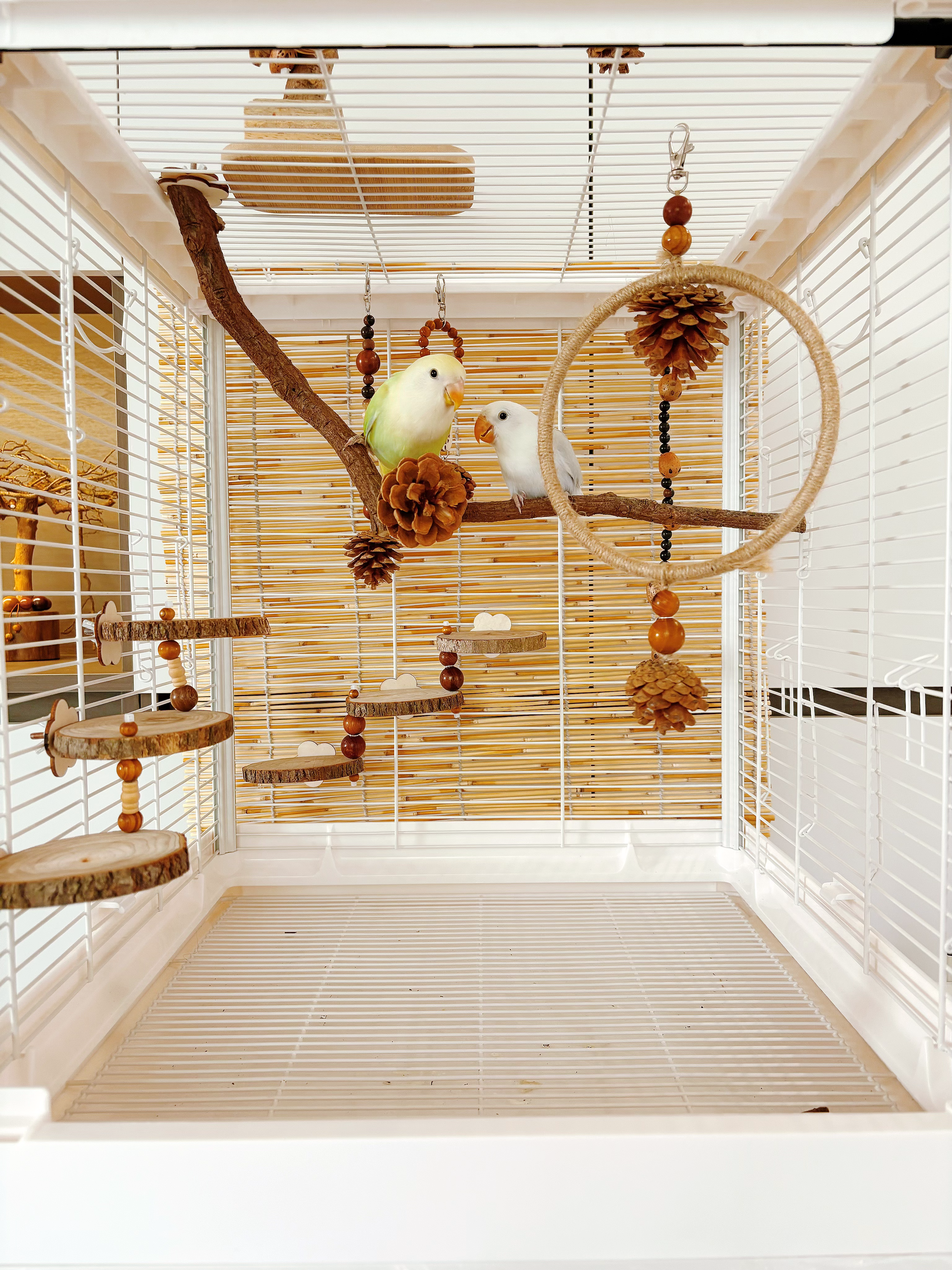 【我的可爱鹦鹉】鹦鹉玩具鸟笼装饰挂件新中式美学风,宠物/宠物食品及用品,鸟玩具,淘宝优惠券,粉丝福利购,淘宝优惠卷