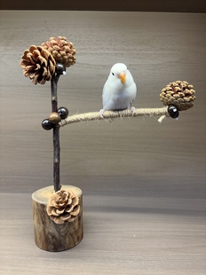 鹦鹉站架天然实木原木手工制作啃咬玩具鸟架桌面装饰鸟笼鸟用品