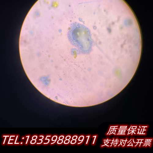 奥林巴斯cx21显微镜询价