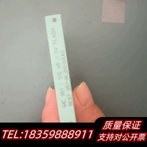 6ES7 951-0KJ00-0AA06ES79询价