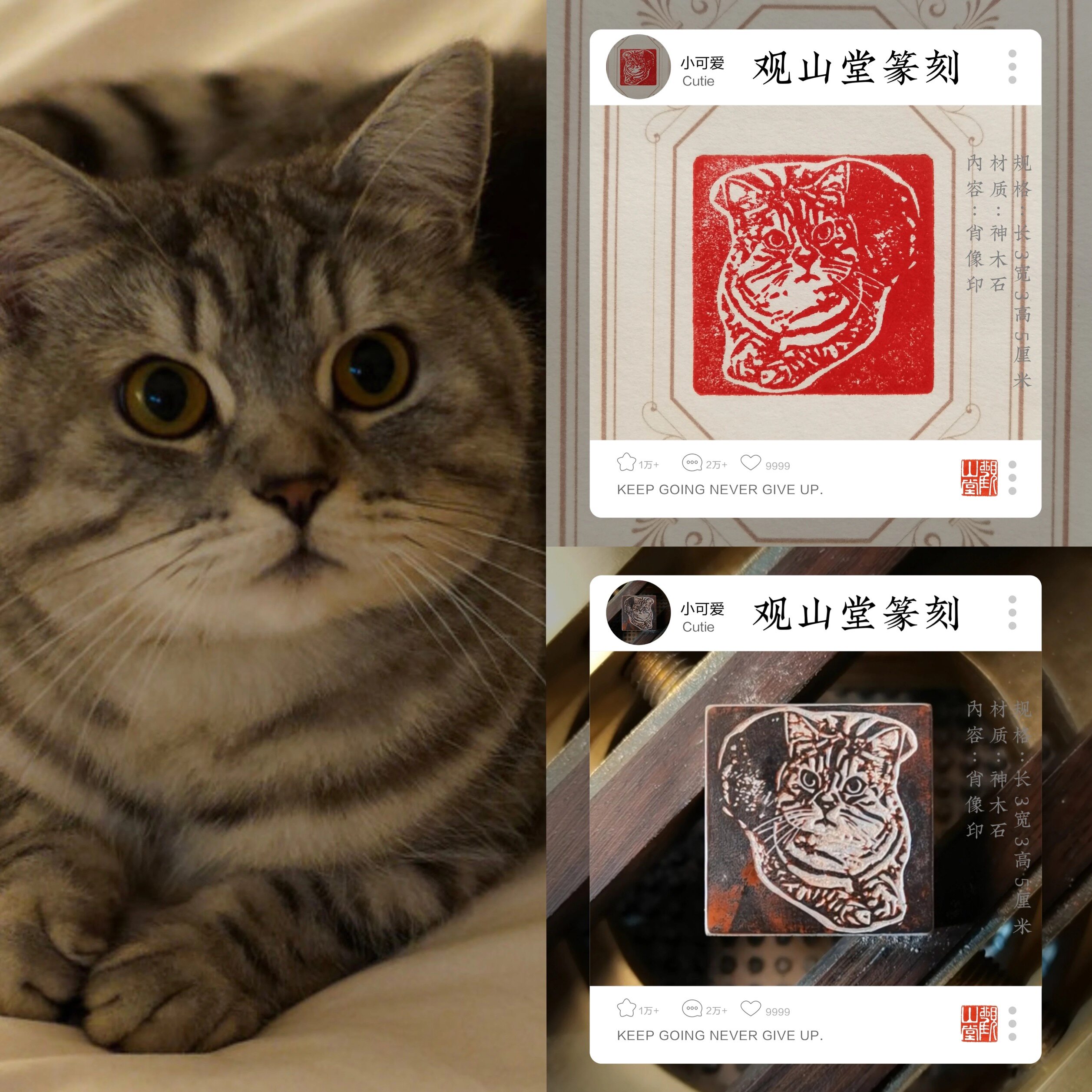 观山堂篆刻纯手工宠物印章动物印蓝猫咪头像小狗头像印章定制印章图片
