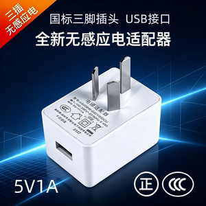 5V1A充电头三脚插头适配器