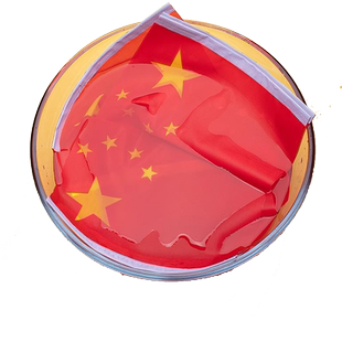 小红旗手摇旗手持小国旗6号7号8号手挥中国国旗带杆小旗子定制装饰舞蹈道具手拿小党旗五星红旗国旗定做旗帜