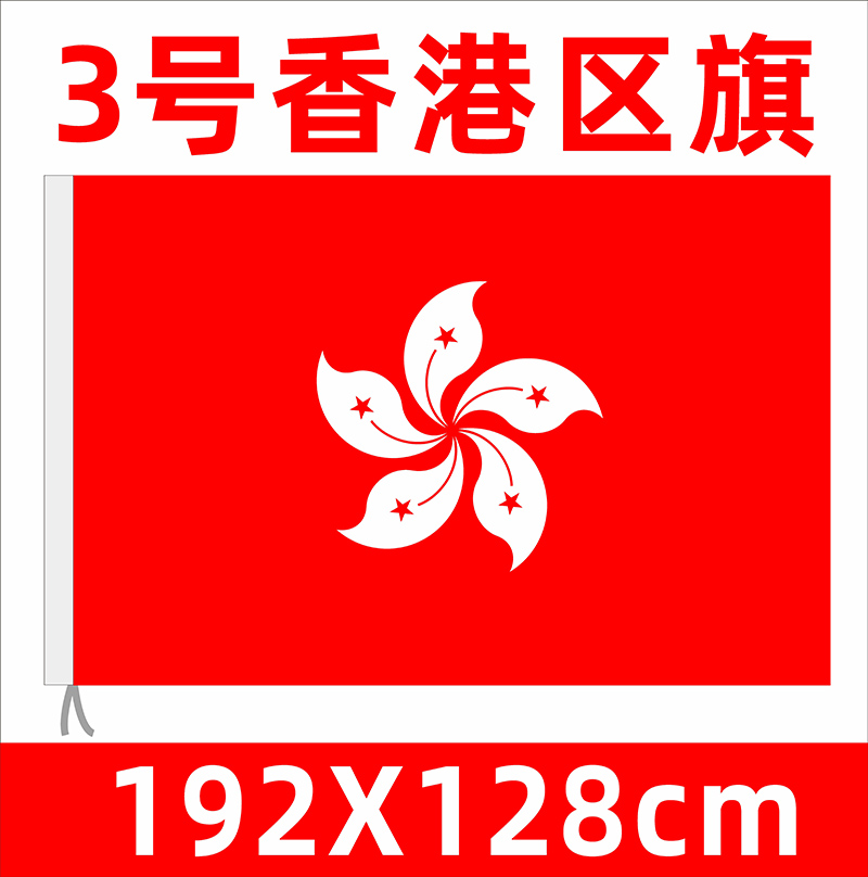 标准香港区旗紫荆花旗帜香港特区旗帜户外旗帜3号4号旗帜香港特别行政区旗室内香港旗装饰旗户外挂旗 文具电教/文化用品/商务用品 旗帜 原图主图