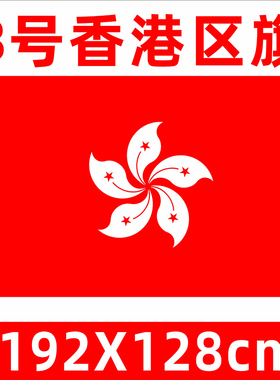 标准香港区旗紫荆花旗帜香港特区旗帜户外旗帜3号4号旗帜香港特别行政区旗室内香港旗装饰旗户外挂旗