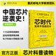 芯片 无所不在 中国芯片逆袭史 科技芯片相关图书 科普丛书李章勇吴静张红升余胜奇赵静欣著 官方正版 筑梦芯时代 芯时代