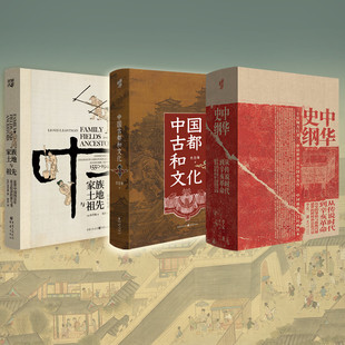 中国历史文化经济(套装3册)中华史纲+古都文化+家族、土地与祖先 华章大历史中国通史入门经典读本中国古代史历史类好书