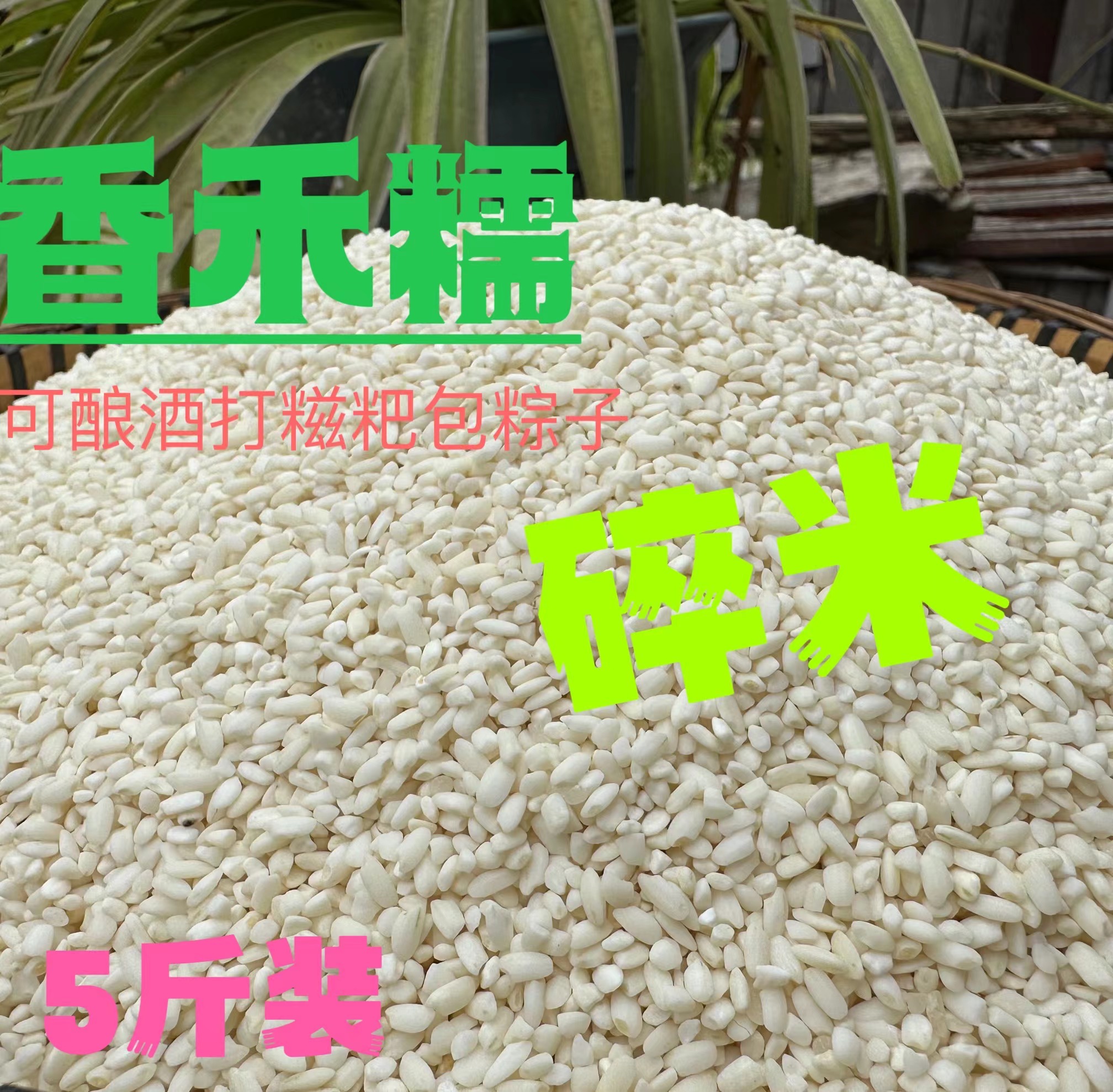 粥米贵州高山梯田老品种香禾糯碎米煮粥米农家米宝宝营养粥5斤