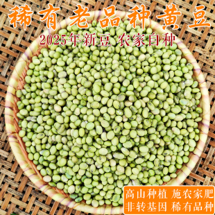 贵州老品种绿皮黄豆 自留品种非转基因豆腐豆芽豆浆专用黄豆2.7斤