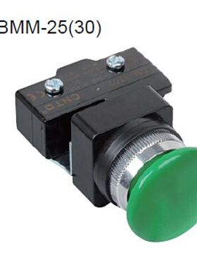 正仪CNEA按钮附微动开关CBMM-25/30大头红绿可选250V 15A