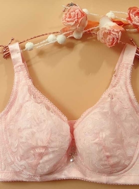 佳妮拉丝新款都市夏季薄款无海绵B杯文胸聚拢丽人内衣205254