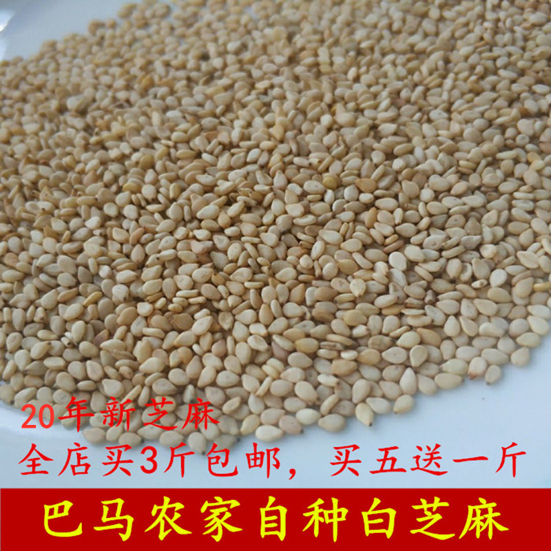 广西巴马特产24年新白芝麻黑芝麻小颗粒老品种农家自种500g满包邮