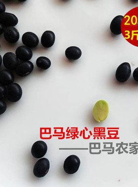 广西巴马特产25年新农家自产绿心黑豆 黑小豆富硒青仁乌皮豆500克