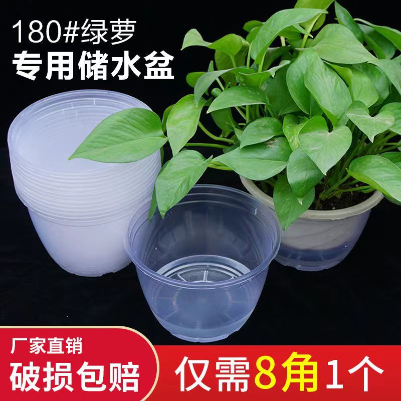 塑料简约180绿萝双层储水花盆