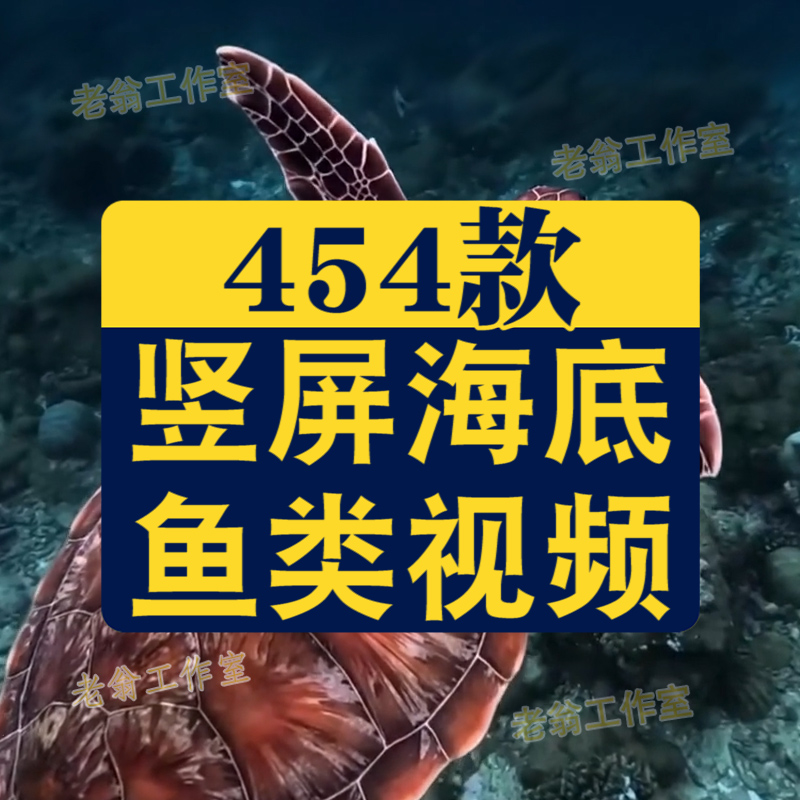 竖屏海底鱼类实拍海洋生物风景抖音高清解压短视频小说推文素材