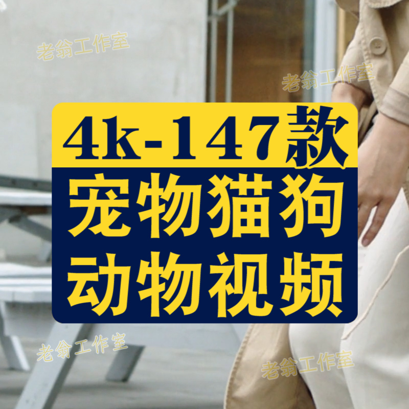 小狗狗宠物实拍横屏萌宠动物搞笑国外高清短视频素材抖音无水印