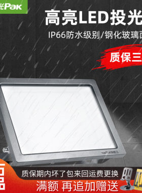 三雄极光北极星户外LED泛光灯