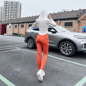 九分运动小脚裤 超弹加高腰显瘦紧身鲨鱼打底裤 百搭无尴尬线瑜伽裤