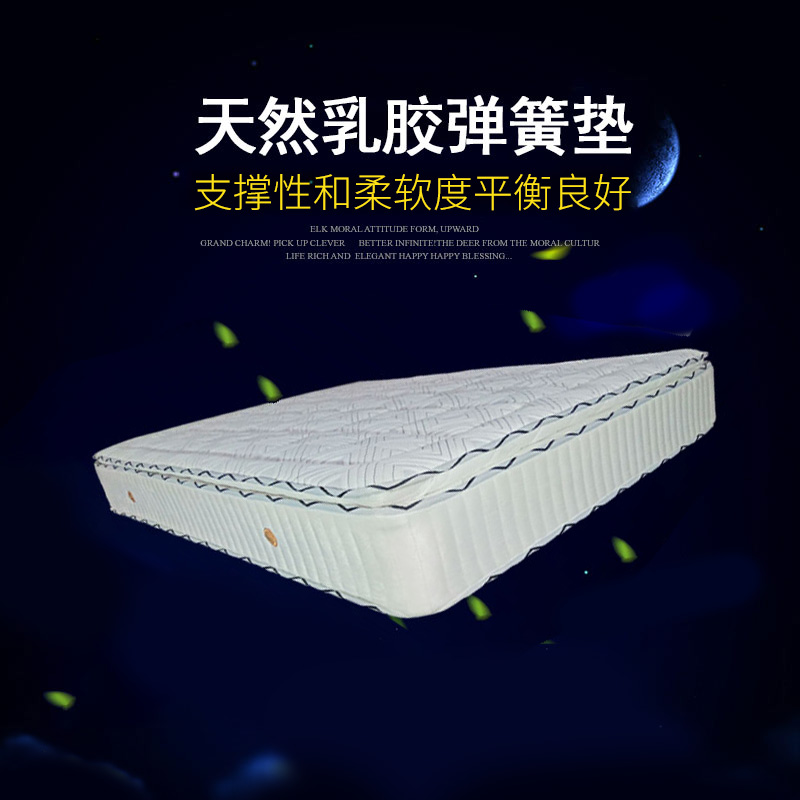 席梦思卧室双人加厚海绵椰棕垫