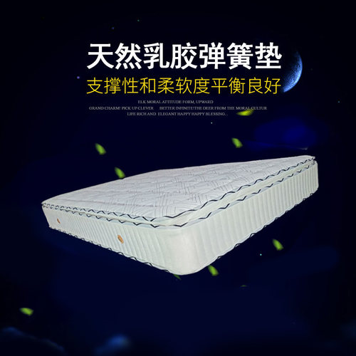 席梦思卧室双人加厚海绵椰棕垫