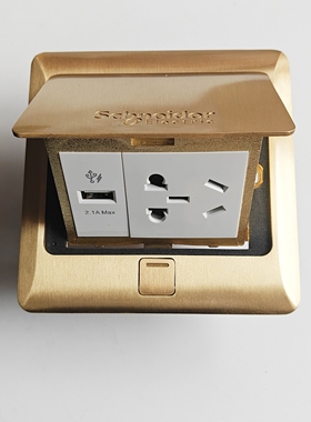 施耐德铜地插USB+五孔地面插座E221C10SUSB铜质光面无底盒