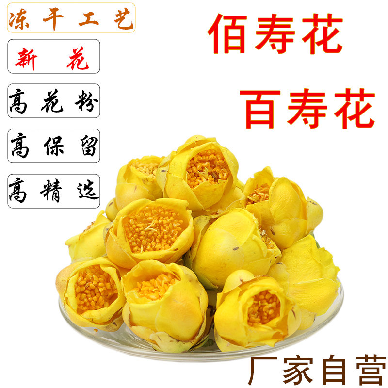 佰寿花长寿花百寿冰莲茶2026年新
