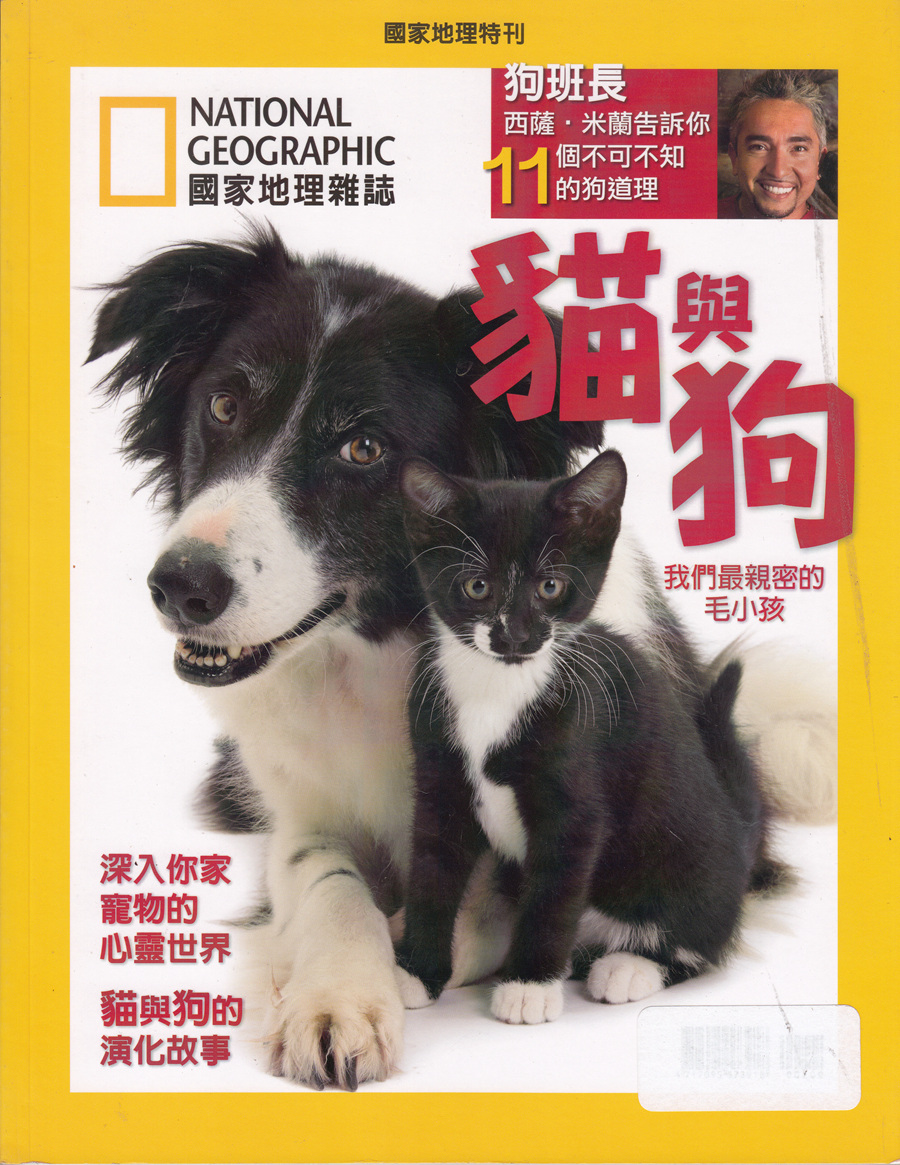 猫与狗我们最亲密的毛小孩