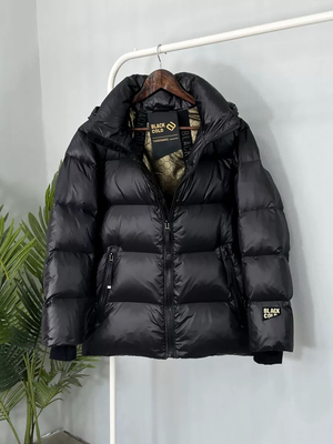 林木飞韩版短款立领羽绒服