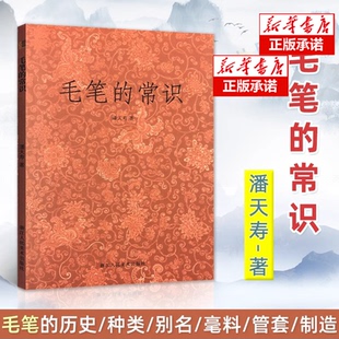 正版 毛笔的常识 潘天寿浙江人民美术出版社书籍 书法艺术名家书法作品评析 书法史资料集 书法理论点评译文插图注释