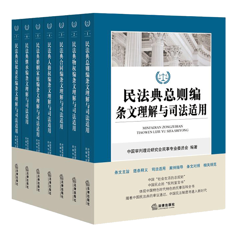 民法典2020年版 民法典总则编条文理解与司法适用 全国 新修订版合同人格权婚姻家庭继承侵权责任法编条文主旨逐条释义案例指导