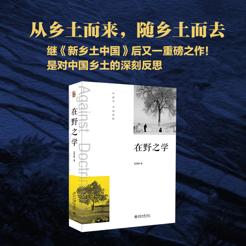 正版 在野之学 贺雪峰 乡村研究学者贺雪峰教授 华中乡土学派 中国社会科学 社会学学术著作 北京大学出版社正版图书藉