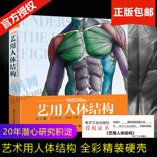 艺用人体结构 官方正版 人体结构骨骼肌肉造型解剖学基础教程素描书绘画入门教材人体结构教学书籍 理解人体形态 电子工业 全彩精装