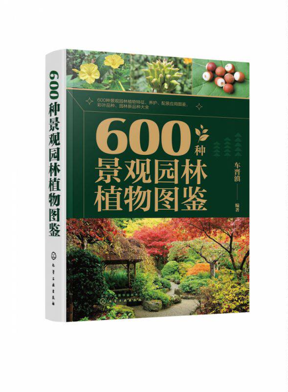 600种景观园林植物图鉴 车晋滇 草本植物藤本植物灌木乔木 景观应用搭配图与花坛花境景观案例 园林工作者和广大植物爱好者参考