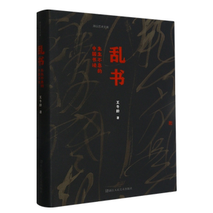 乱书 生生不息的中国书法 王冬龄著 含百余幅高清作品及创作现场 见证王冬龄多年书学探索 浙江人民美术出版社