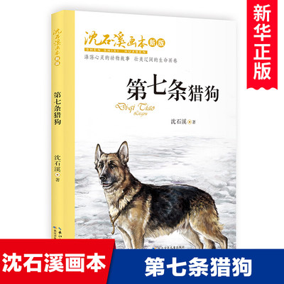 第七条猎狗/沈石溪画本彩图版动物小说故事书大自然生命教育主题读物青少年成长励志儿童文学三四五六年级小学生课外阅读书籍