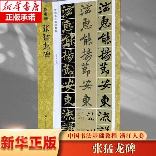张猛龙碑(中国书法基础教程)/新书谱 博库网 高清原碑帖+笔画技法+章法结构+集字创作入门 浙江人民美术出版社