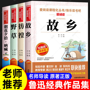 7年级初中小学生课外阅读书籍人民文学狂人日记阿Q 朝花夕拾呐喊彷徨野草六年级上下册必读课外书推荐 鲁迅经典 作品全集故乡原著正版