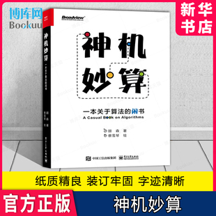 顾森 神机妙算：一本关于算法 算法趣味学习入门科普书籍 贪心算法排序算法RSA算法递归分治动态规划讲解 蔡雪琴 闲书